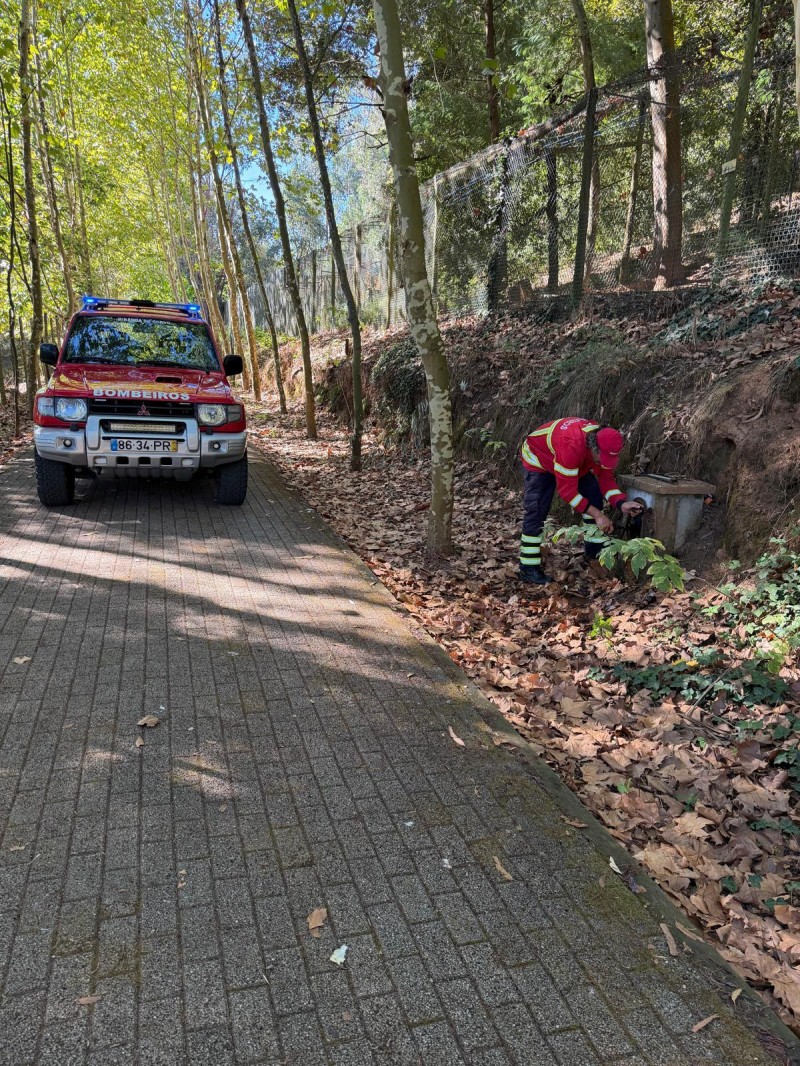 Bombeiros Voluntários de Miranda do Corvo estudam a proteção do Parque Biológico da Serra da Lousã em situação de incêndio florestal.